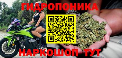 стафф Белореченск