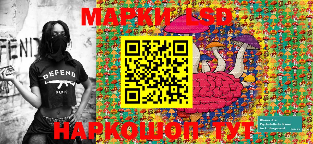 Марки N-bome  Марки N-bome 1,5мг  Марки N-bome 1,5мг  Вход с VPN  Благодарный 